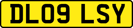 DL09LSY