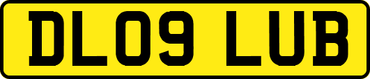 DL09LUB