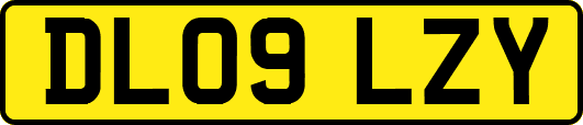 DL09LZY