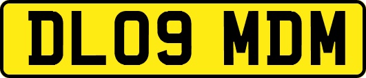 DL09MDM