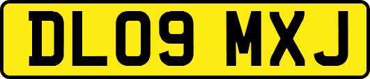 DL09MXJ