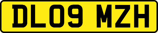 DL09MZH