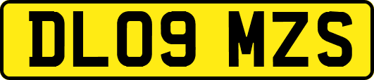 DL09MZS