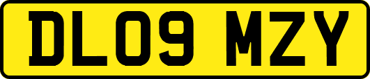 DL09MZY
