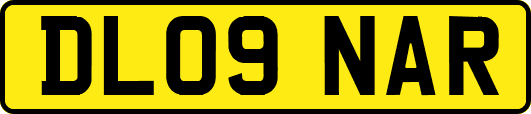 DL09NAR