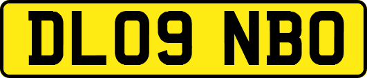 DL09NBO