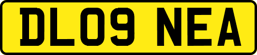 DL09NEA