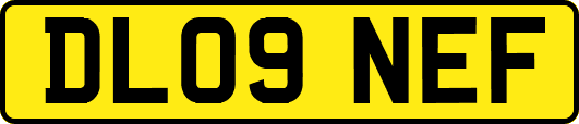 DL09NEF