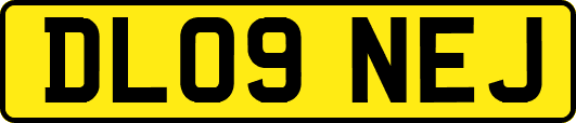 DL09NEJ