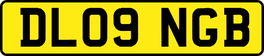 DL09NGB