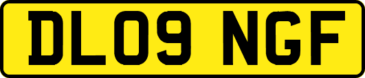 DL09NGF