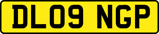DL09NGP