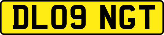 DL09NGT
