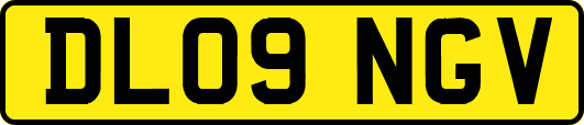 DL09NGV