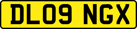 DL09NGX