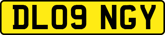 DL09NGY