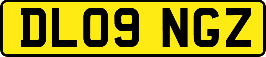 DL09NGZ