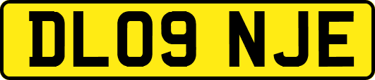 DL09NJE