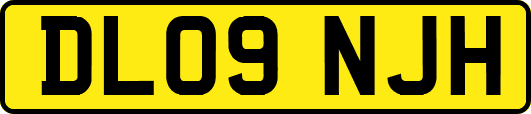 DL09NJH