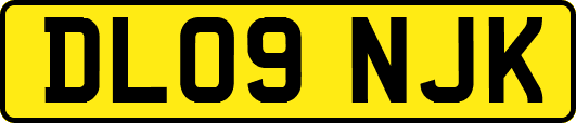 DL09NJK