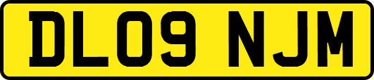 DL09NJM