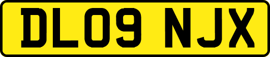 DL09NJX
