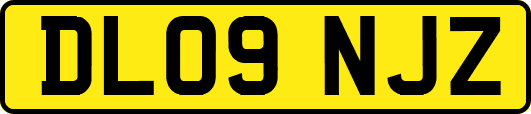 DL09NJZ