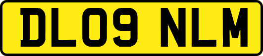 DL09NLM