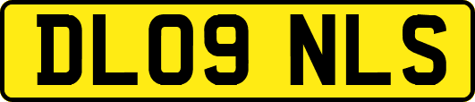 DL09NLS