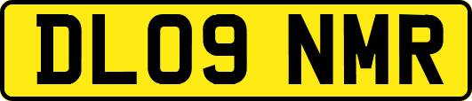 DL09NMR