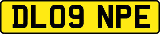 DL09NPE