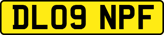 DL09NPF