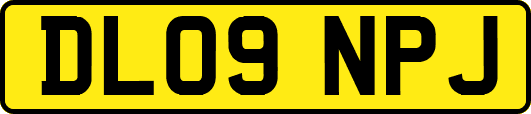 DL09NPJ