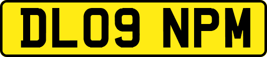 DL09NPM