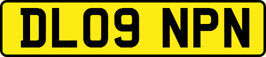DL09NPN