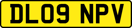 DL09NPV
