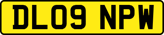 DL09NPW