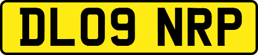 DL09NRP