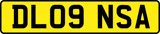DL09NSA