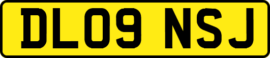 DL09NSJ