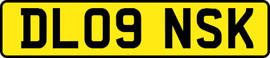 DL09NSK