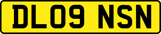 DL09NSN