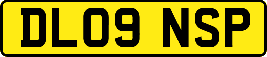 DL09NSP