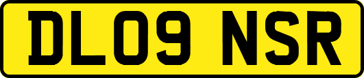 DL09NSR