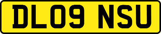 DL09NSU