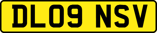 DL09NSV
