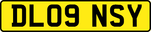 DL09NSY