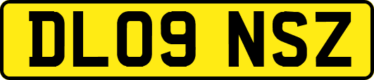 DL09NSZ