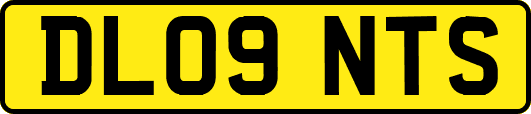 DL09NTS