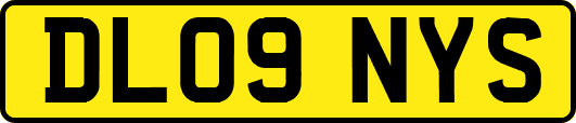 DL09NYS